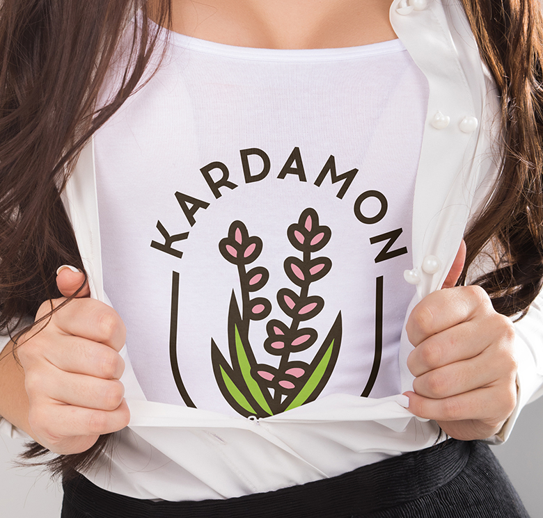 Фирменный стиль  Kardamon