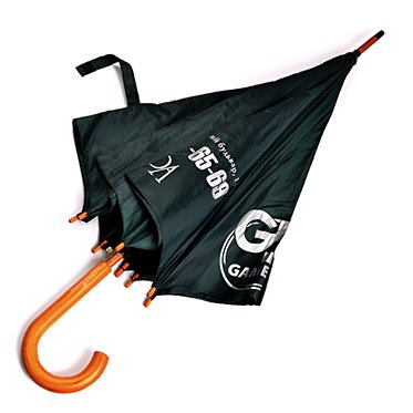 зонт 04 изображение 1