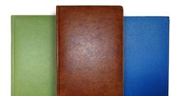 Brisk (Украина)