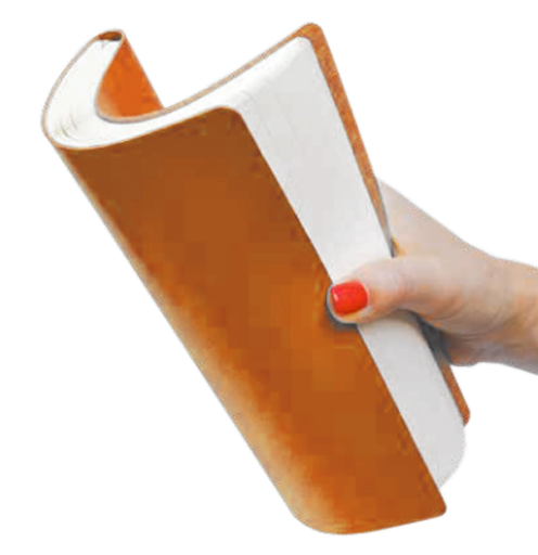 Ежедневник А5 FRANKFURT датированный под печать лого