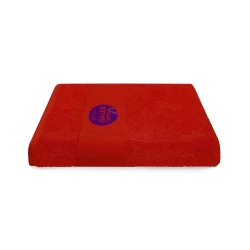 Маленькое полотенце RALPF с логотипом