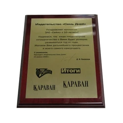 Диплом прямоугольный 22х30 см с вашим логотипом